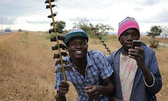 非洲网红吃瓜事件视频在线观看,视频爆笑场面引网友热议  第1张